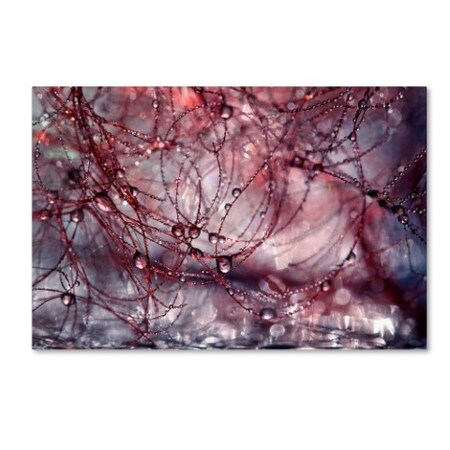 Beata Czyzowska Young 'Beautiful Chaos' Canvas Art,16x24